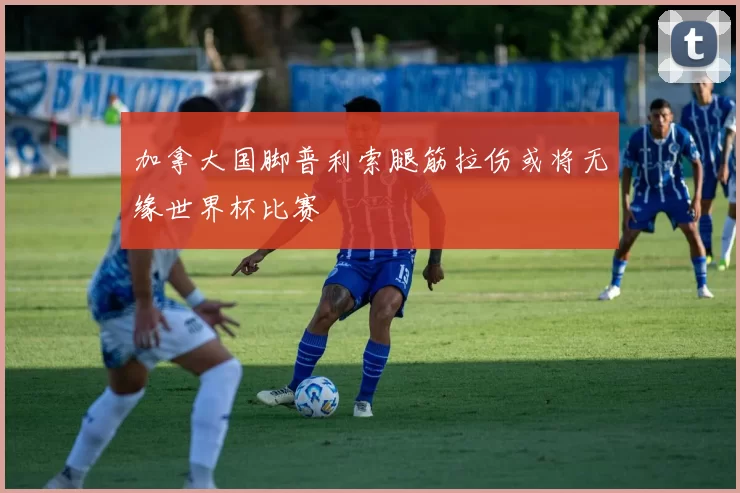 加拿大国脚普利索腿筋拉伤或将无缘世界杯比赛